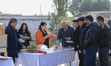 İnnovasiya festivalının növbəti təqdimatı keçirilib