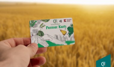 Fermerlərə 30 milyon manatdan çox subsidiya ödənilib