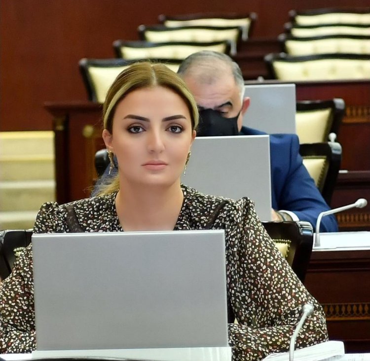 "Əlillərə pulsuz dərman verilsin"