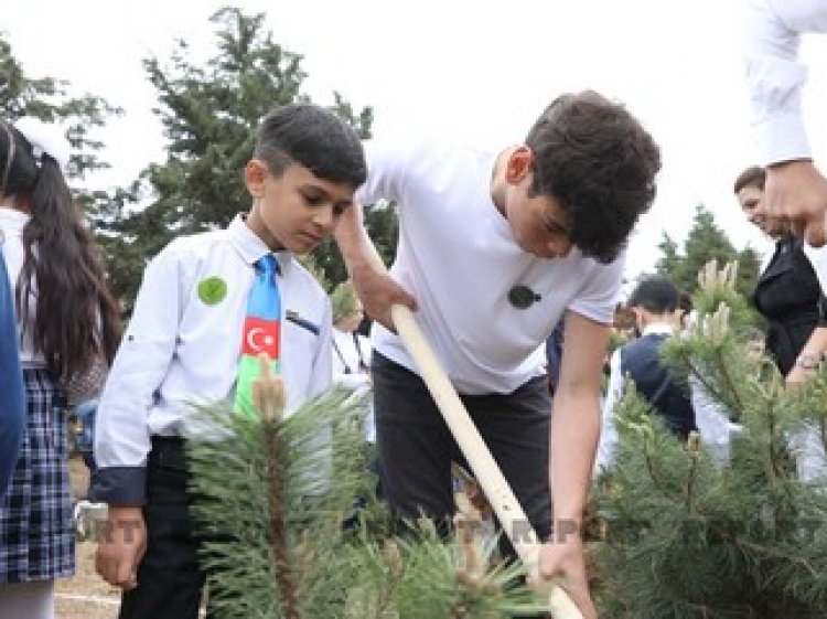 Heydər Əliyevin doğum günü münasibəti ilə ağacəkmə aksiyası keçirilib