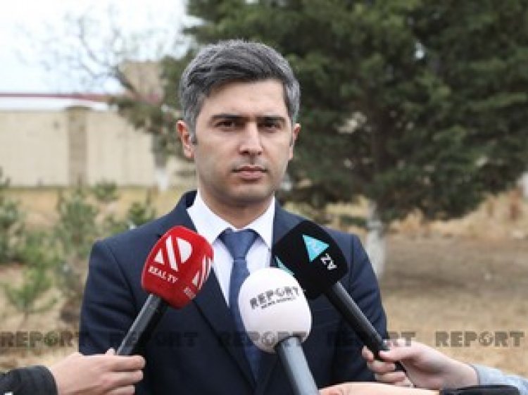 Heydər Əliyevin doğum günü münasibəti ilə ağacəkmə aksiyası keçirilib