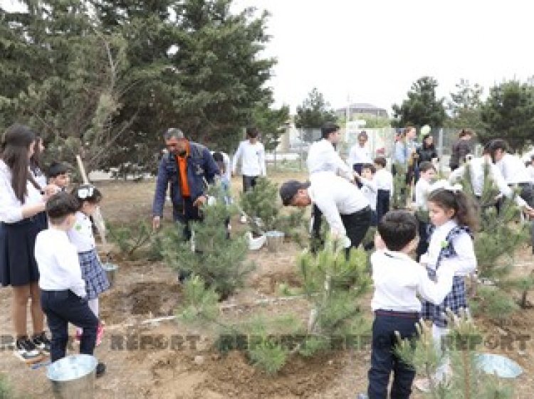 Heydər Əliyevin doğum günü münasibəti ilə ağacəkmə aksiyası keçirilib