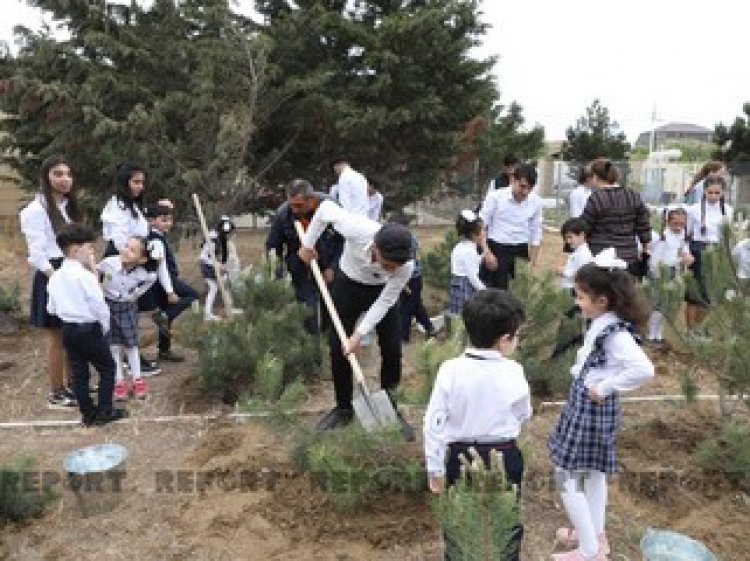 Heydər Əliyevin doğum günü münasibəti ilə ağacəkmə aksiyası keçirilib