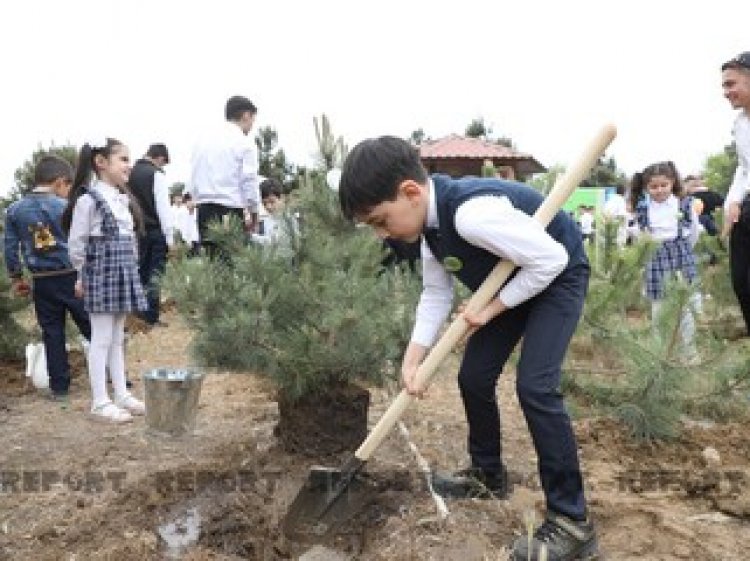 Heydər Əliyevin doğum günü münasibəti ilə ağacəkmə aksiyası keçirilib