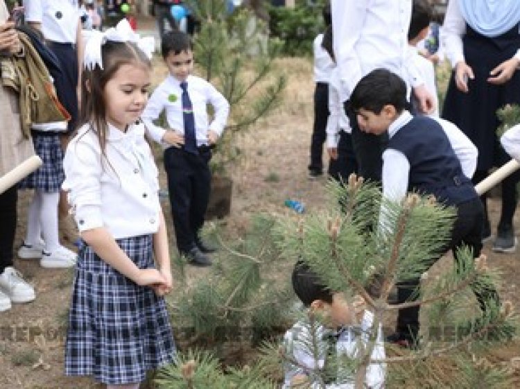 Heydər Əliyevin doğum günü münasibəti ilə ağacəkmə aksiyası keçirilib