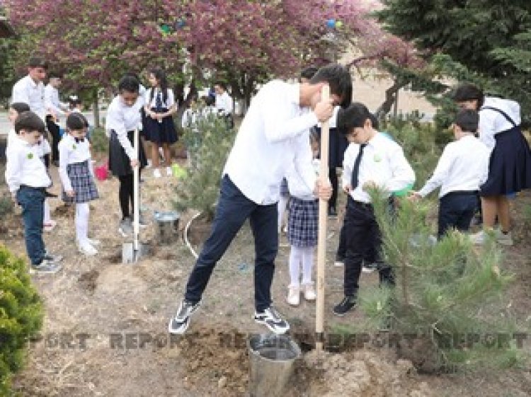 Heydər Əliyevin doğum günü münasibəti ilə ağacəkmə aksiyası keçirilib