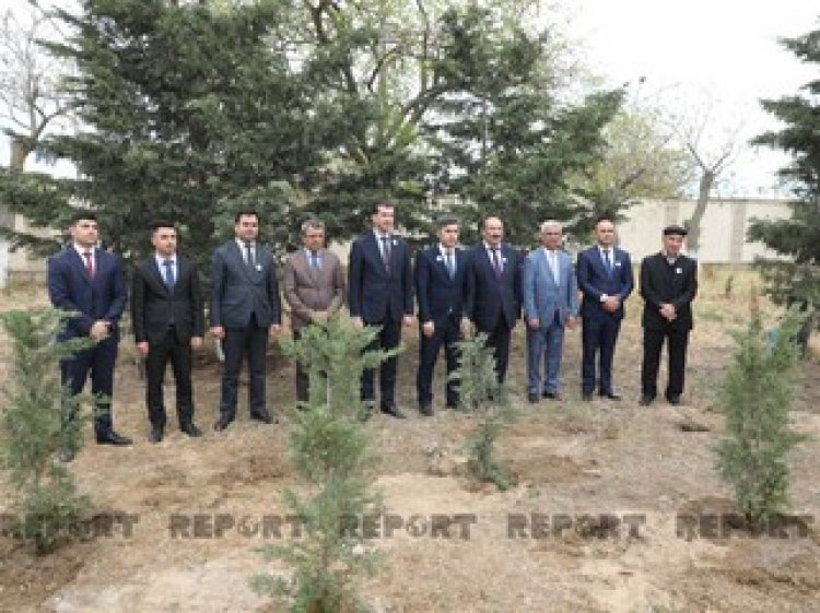 Heydər Əliyevin doğum günü münasibəti ilə ağacəkmə aksiyası keçirilib
