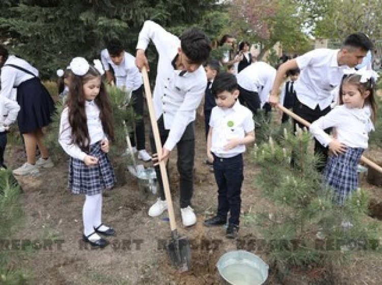 Heydər Əliyevin doğum günü münasibəti ilə ağacəkmə aksiyası keçirilib
