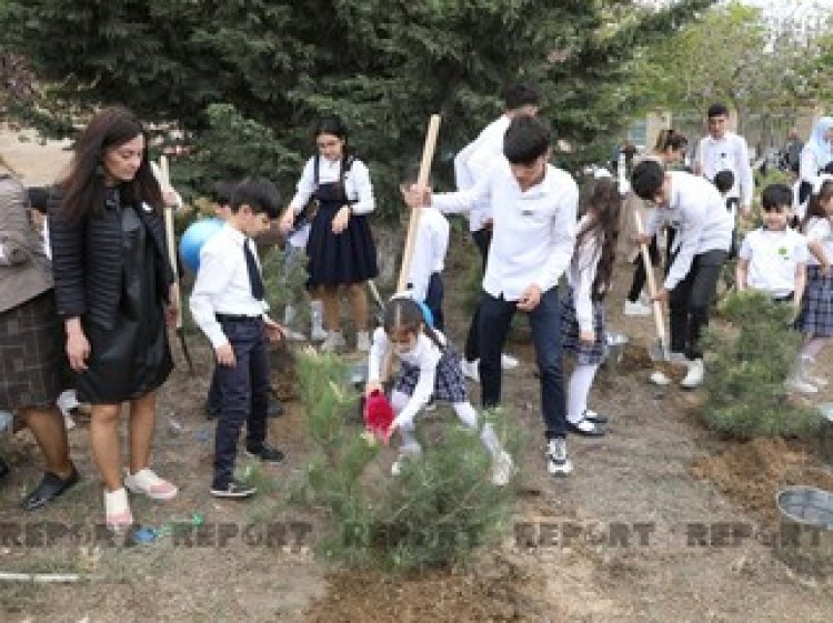 Heydər Əliyevin doğum günü münasibəti ilə ağacəkmə aksiyası keçirilib