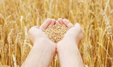 Ukraynadan taxıl tədarükü məsələsi müzakirə olunacaq