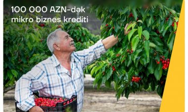 "Yelo Bank"dan 100 000 manata qədər mikro kredit