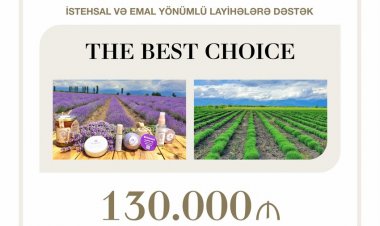 Qəbələdə lavanda yağının istehsalçısına güzəştli kredit verilib
