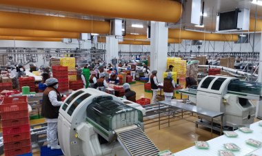 Sağlam qidalanma və islami kəsim