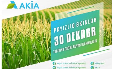 Payızlıq əkin bəyanlarının qəbuluna başlanıldı