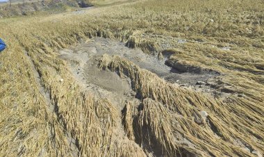 Aqrar Sığorta Fondu fermerlərə müraciət etdi