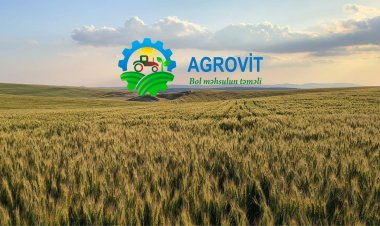 Agrovit Şirkətindən sərfəli təklif