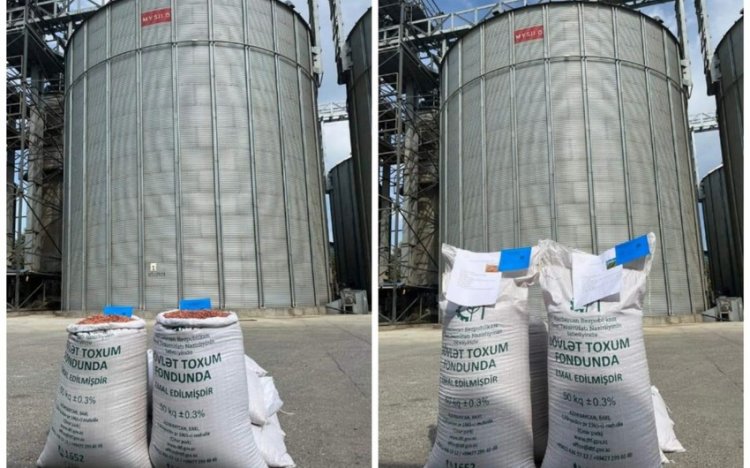 Toxum Fondu hüquqi və fiziki şəxslərə müraciət edib