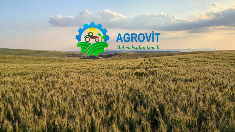 Agrovit Şirkətindən sərfəli təklif