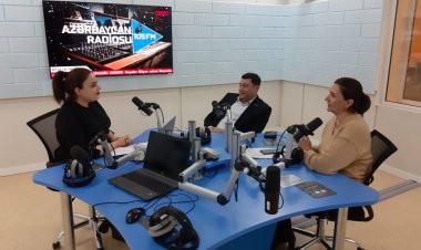 Zeynab Kazımova Agentliyin fəaliyyəti ilə bağlı məlumat verib