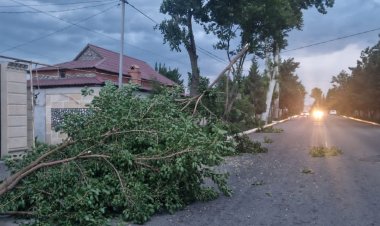 "Azərişıq" operativ tədbirlər görür