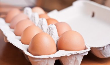 Köhnə yumurtalar vətəndaşlara yeni adı ilə satılır?