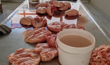 Antisanitar şəraitdə emal olunan quş əti məhsullarının satışının qarşısı alındı