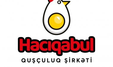 Hacıqabul Quşçuluq Şirkəti keyfiyyətli yumurta istehsalında öz liderliyini qoruyur