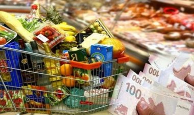 Azərbaycanda qidadan zəhərlənmələrin əsas