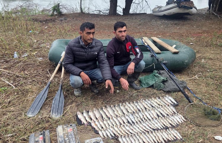 Mingəçevir su anbarında və Kür çayında qanunsuz balıq ovu aşkarlanıb