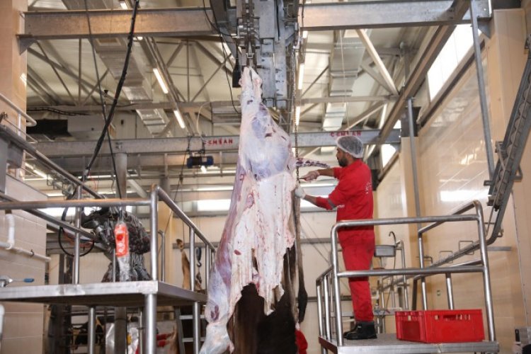 Sağlamlığı şübhə doğuran heyvanlar kəsim prosesindən kənarlaşdırılır