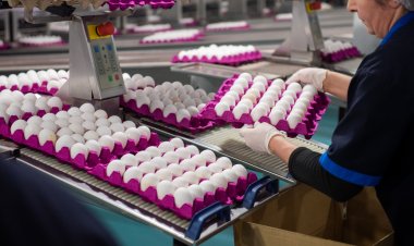 Hacıqabul Quşçuluq Şirkəti tərəfindən aztəminatlı ailələrə bayram sovqatı verilib