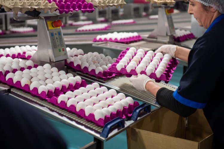 Hacıqabul Quşçuluq Şirkəti tərəfindən aztəminatlı ailələrə bayram sovqatı verilib